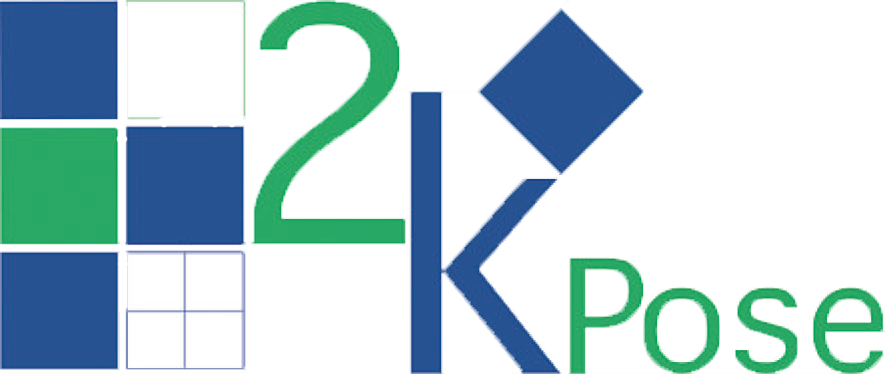 logo 2k pose